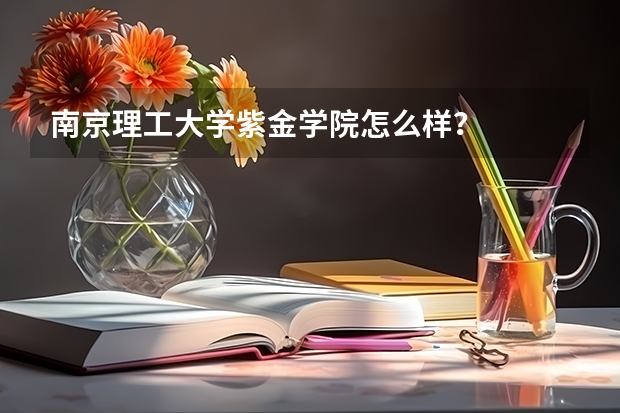 南京理工大学紫金学院怎么样？