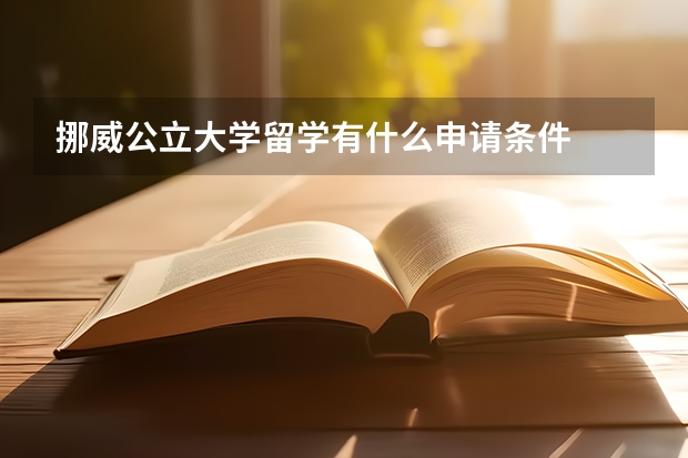 挪威公立大学留学有什么申请条件