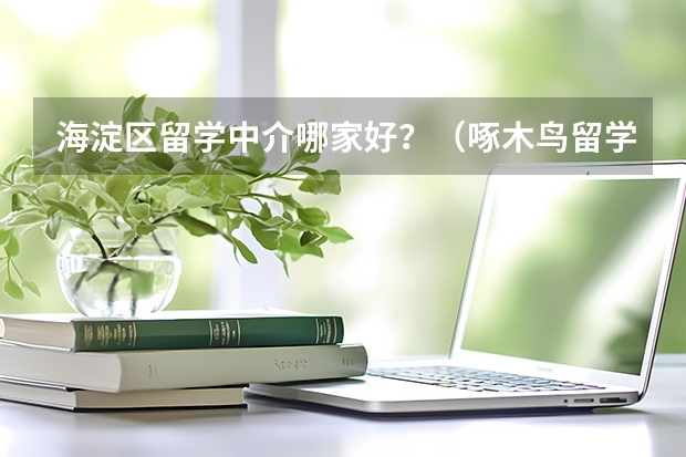 海淀区留学中介哪家好？（啄木鸟留学教育创始人陈起永简介）