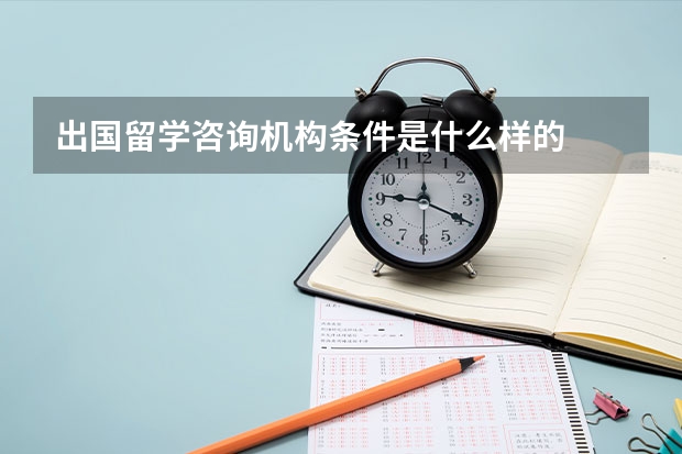 出国留学咨询机构条件是什么样的