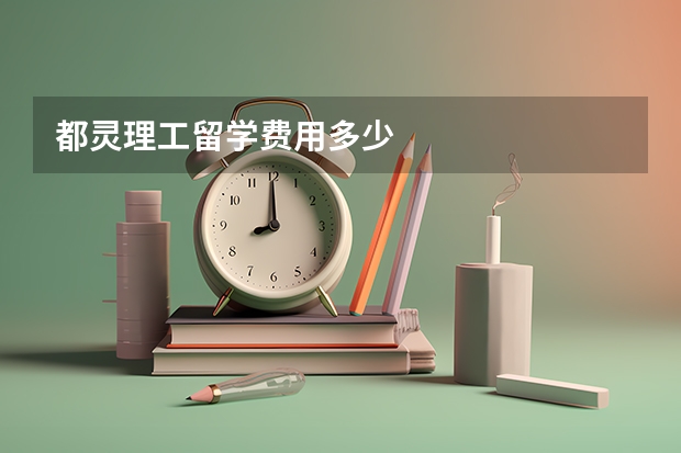 都灵理工留学费用多少