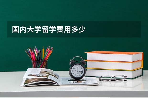 国内大学留学费用多少