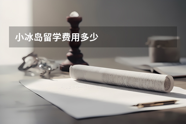 小冰岛留学费用多少