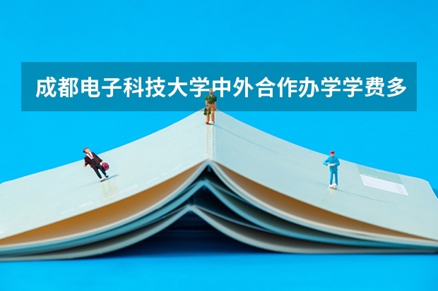 成都电子科技大学中外合作办学学费多少