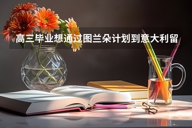 高三毕业想通过图兰朵计划到意大利留学，可行吗？