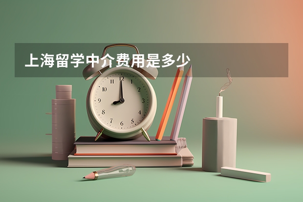 上海留学中介费用是多少