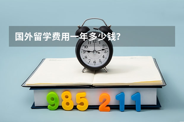 国外留学费用一年多少钱？