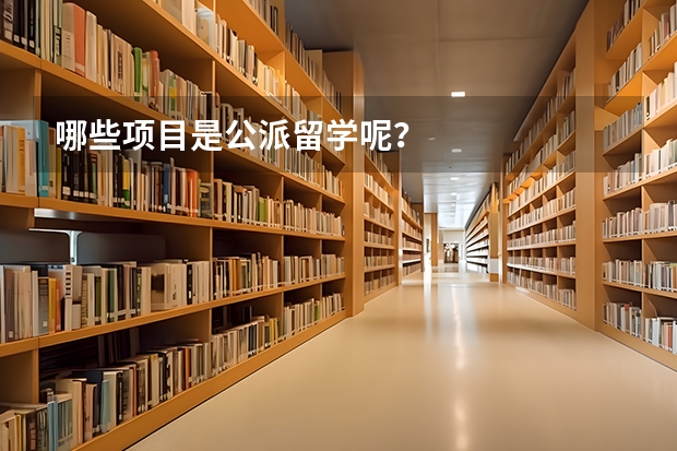 哪些项目是公派留学呢？