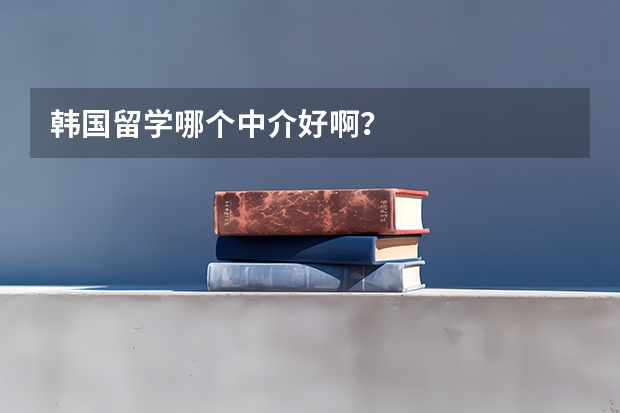 韩国留学哪个中介好啊？