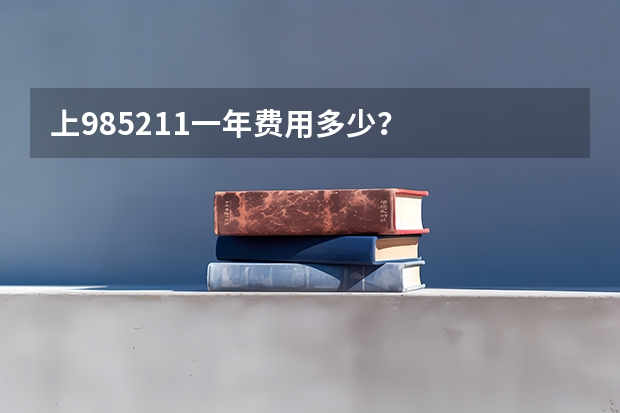 上985211一年费用多少？