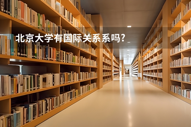 北京大学有国际关系系吗?