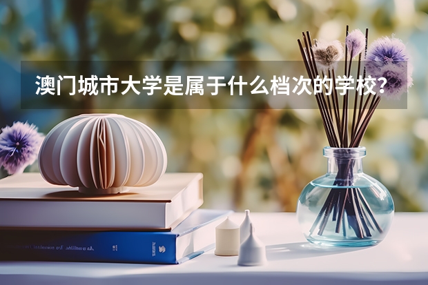 澳门城市大学是属于什么档次的学校？