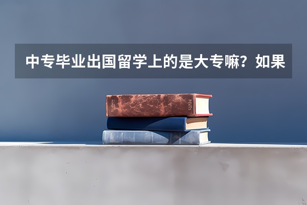 中专毕业出国留学上的是大专嘛？如果是，那么想升本科可以吗？