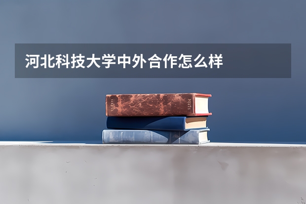 河北科技大学中外合作怎么样