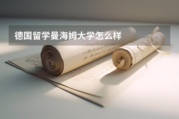 德国留学曼海姆大学怎么样