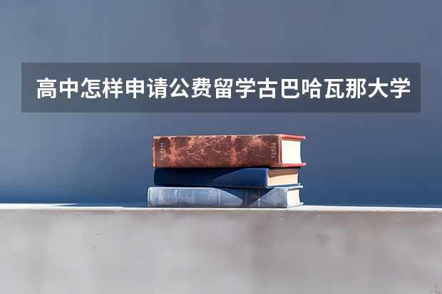 高中怎样申请公费留学古巴哈瓦那大学，具体有什么要求