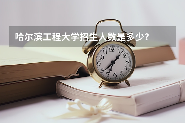 哈尔滨工程大学招生人数是多少？