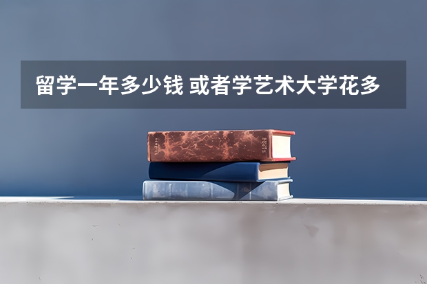 留学一年多少钱 或者学艺术大学花多少钱