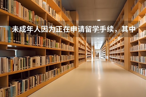 未成年人因为正在申请留学手续，其中想出国玩，但是没有在校证明，通过b2签证和申根签证可能性很小吗？