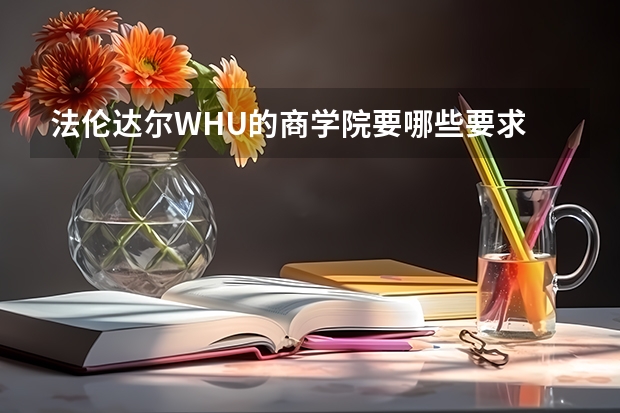 法伦达尔WHU的商学院要哪些要求