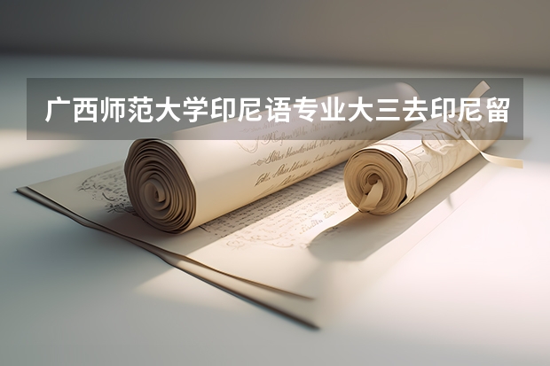 广西师范大学印尼语专业大三去印尼留学一年是交换生吗?