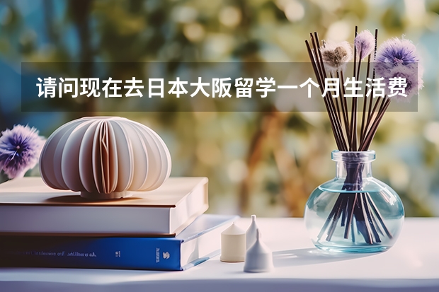 请问现在去日本大阪留学一个月生活费大楷要多少？房租不算