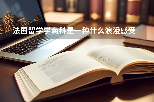 法国留学学商科是一种什么浪漫感受