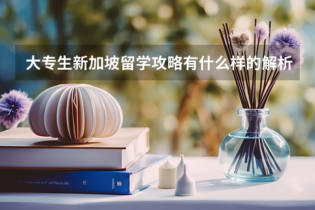 大专生新加坡留学攻略有什么样的解析？