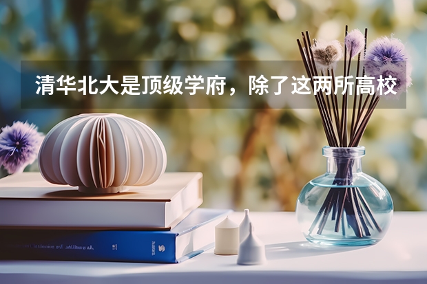 清华北大是顶级学府，除了这两所高校，还有哪些好学校？