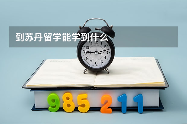 到苏丹留学能学到什么